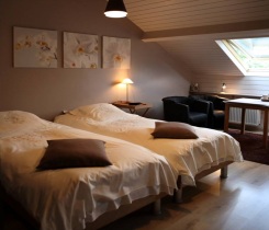 Orchidee kamer